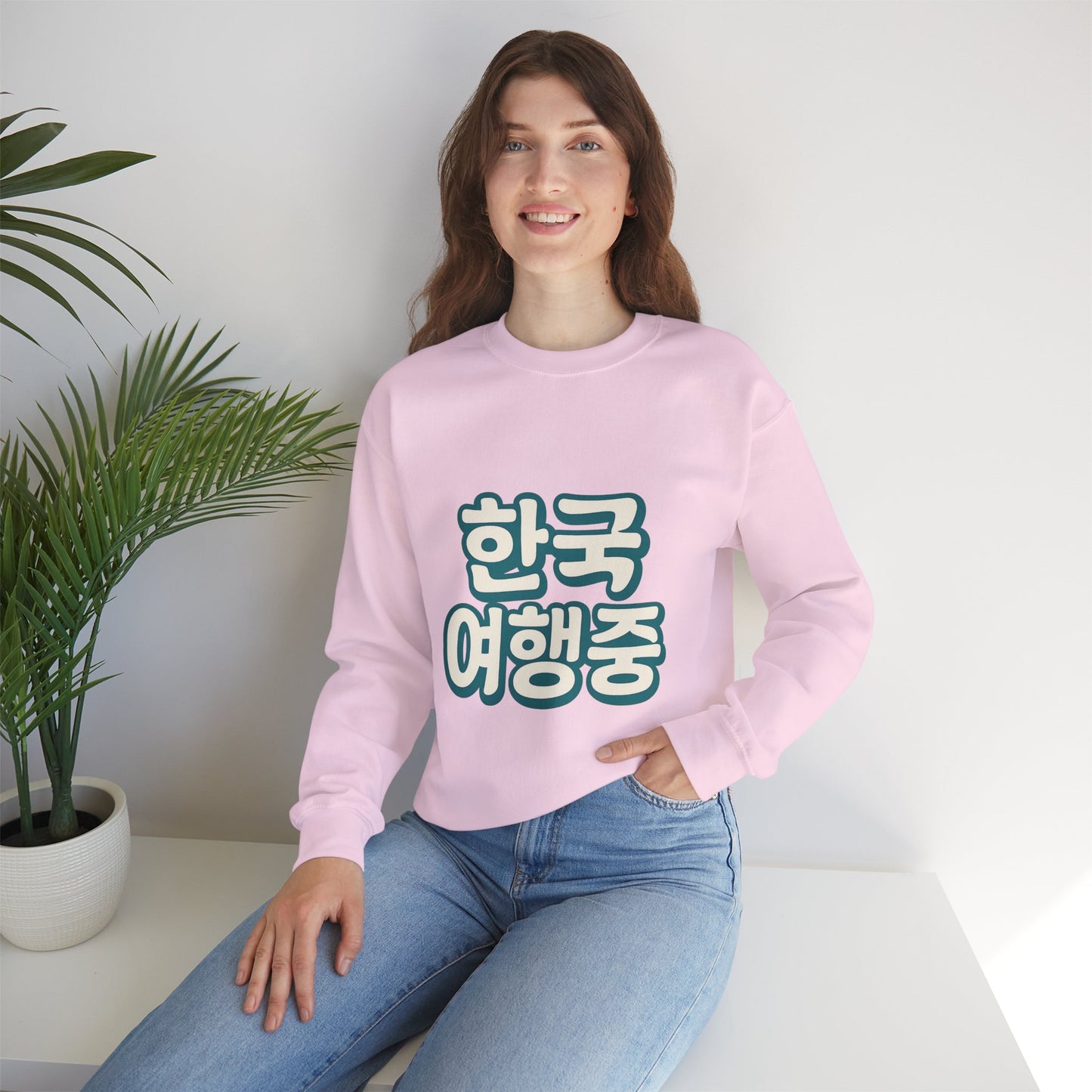 (US) Korea Trip Travel Sweater - Adventure Gift