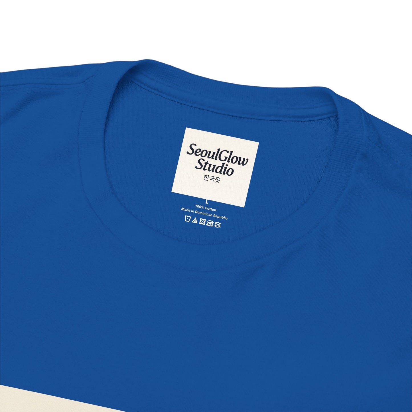 Seoul Subway Graphic Tee - Next Stop Seoul