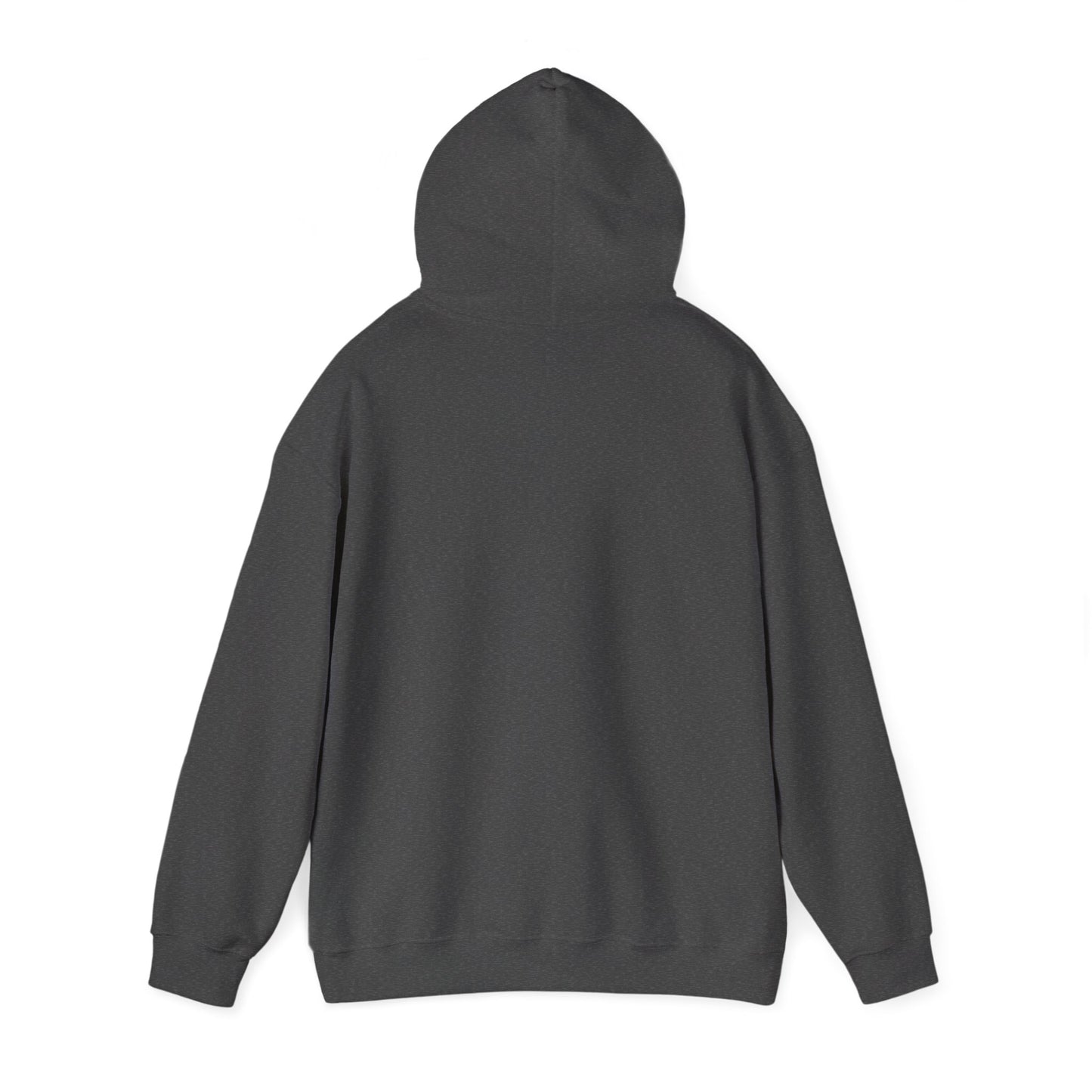(US) Korea Trip Heavy Blend Hooded Sweatshirt