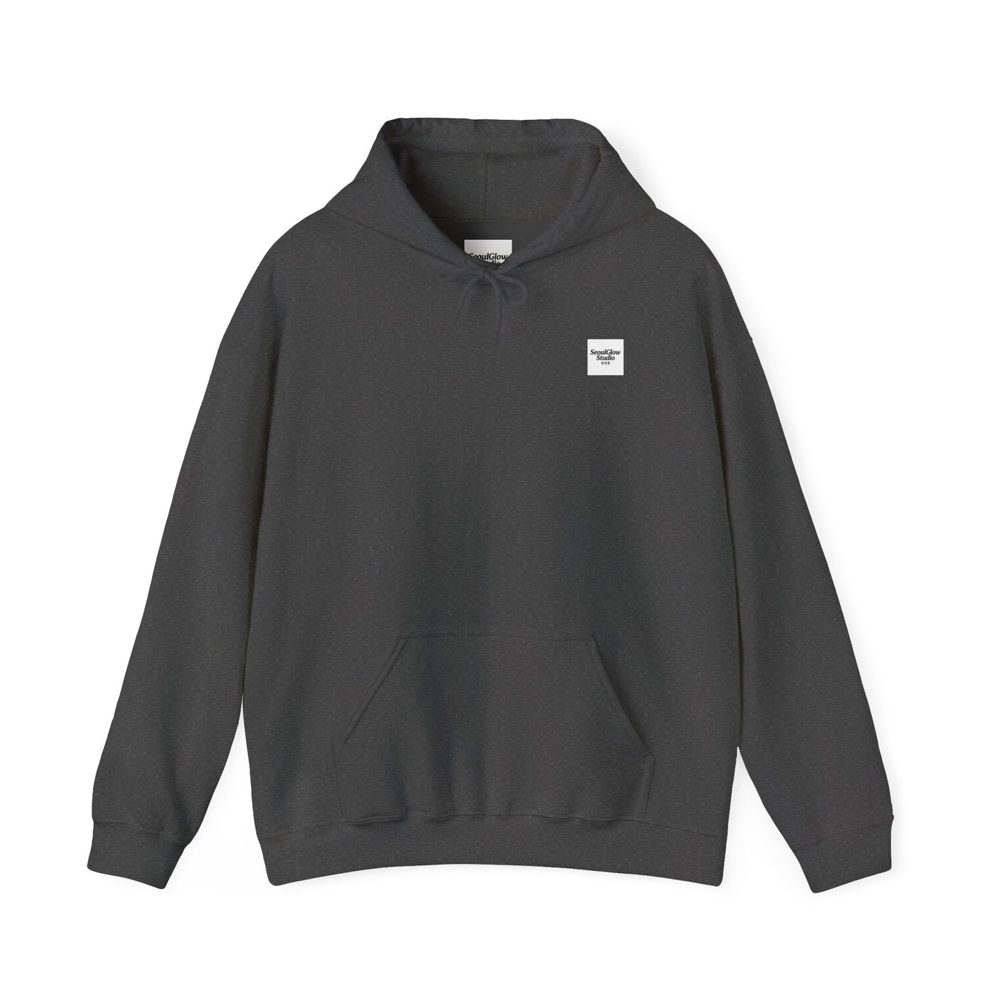 Seoul Metro Han River Korea Unisex Hoodie Sweatshirt - K Fan Design