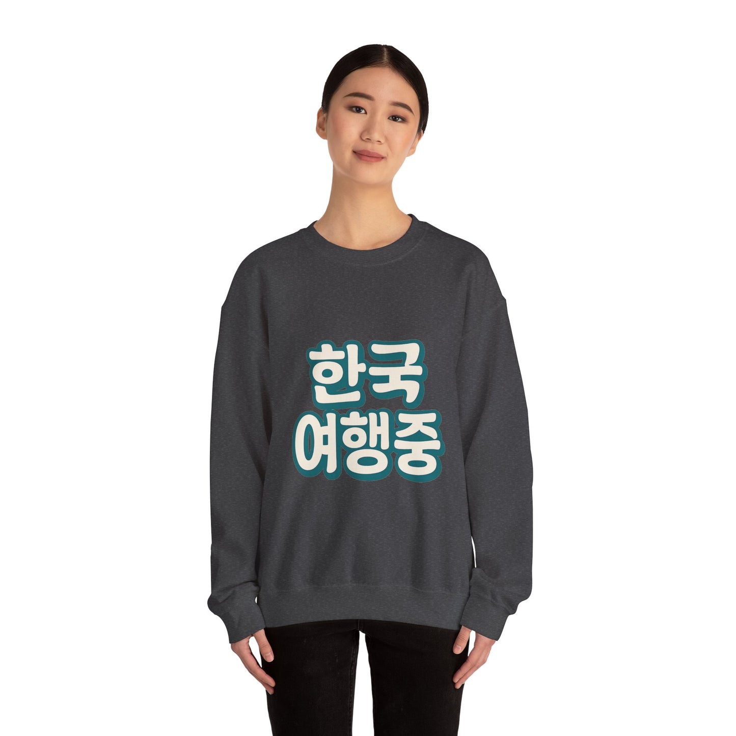 (US) Korea Trip Travel Sweater - Adventure Gift