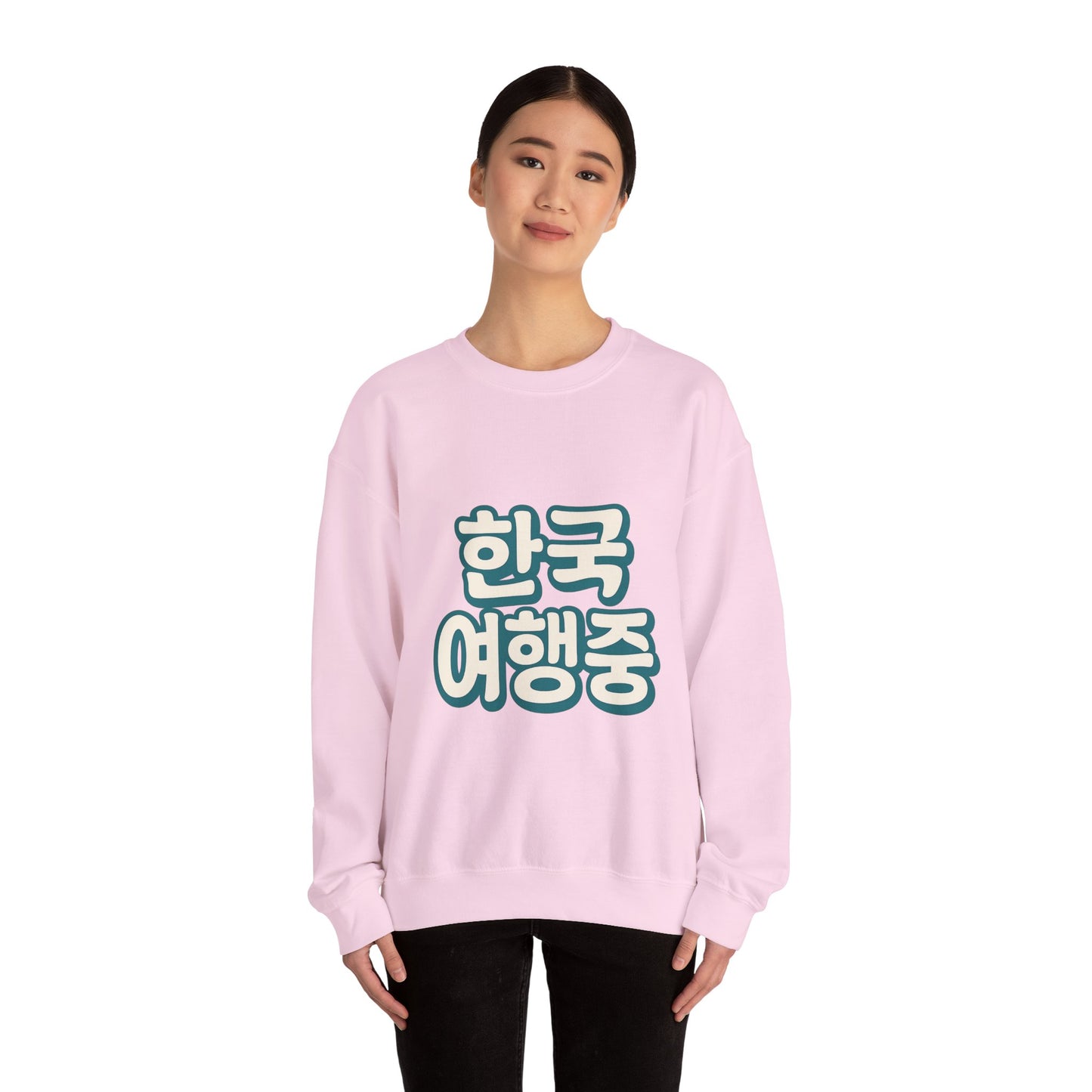 (US) Korea Trip Travel Sweater - Adventure Gift