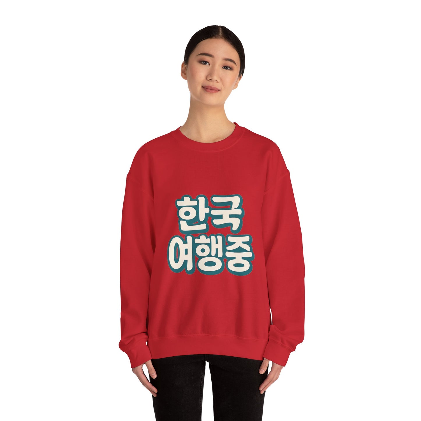 (US) Korea Trip Travel Sweater - Adventure Gift