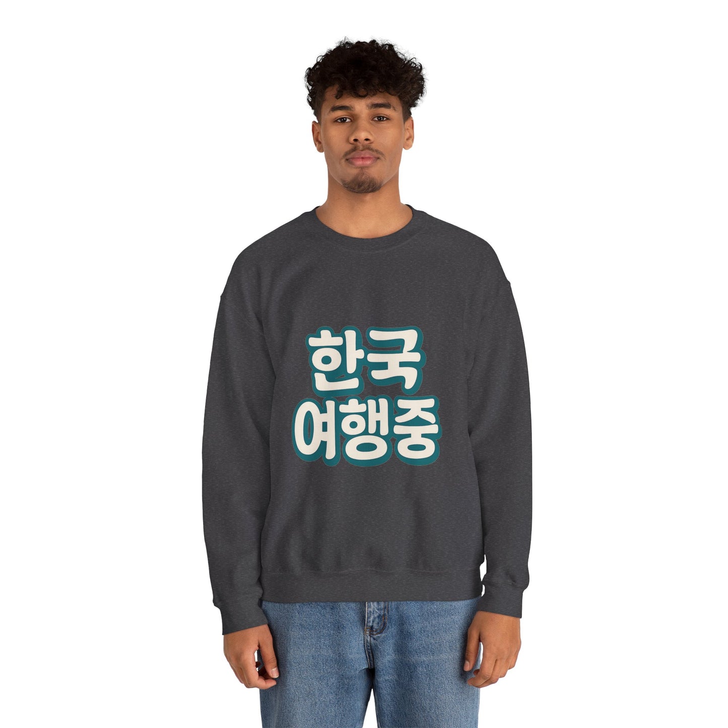 (US) Korea Trip Travel Sweater - Adventure Gift