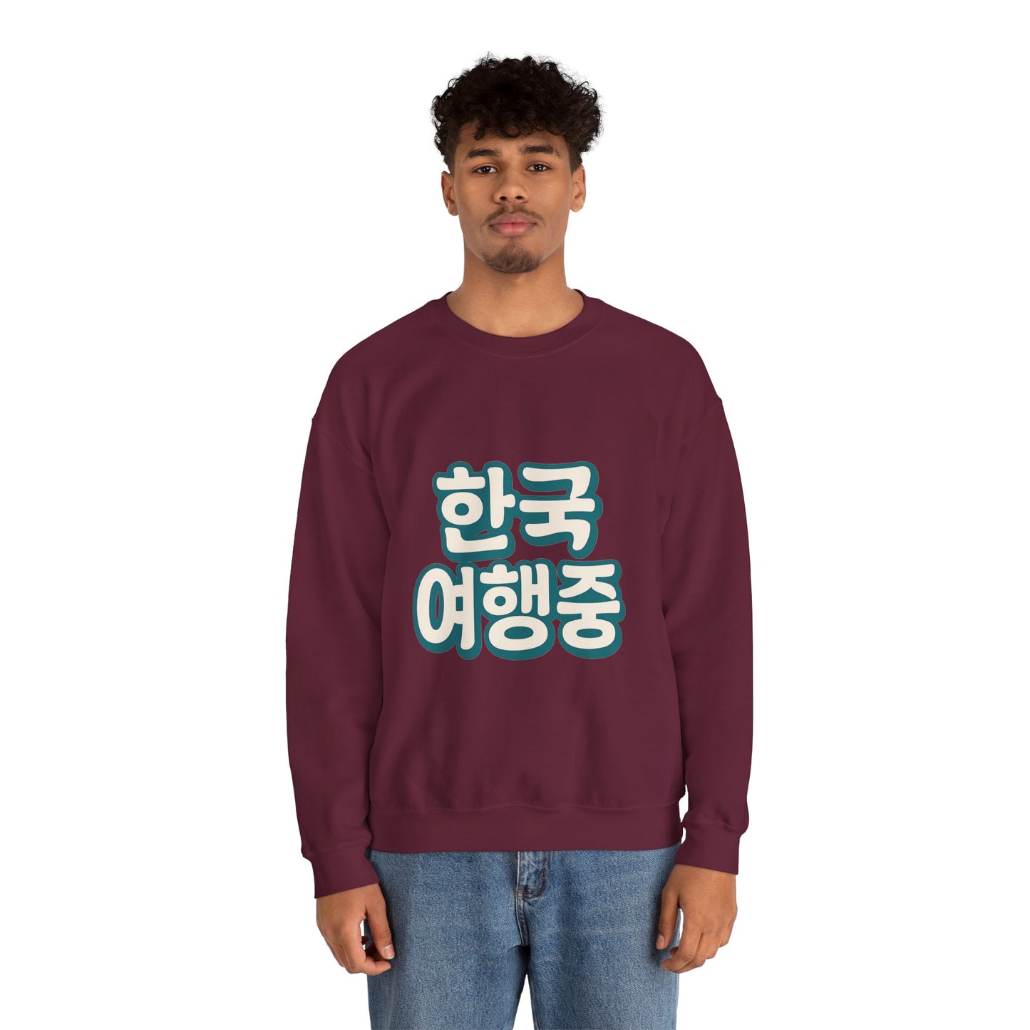 (US) Korea Trip Travel Sweater - Adventure Gift