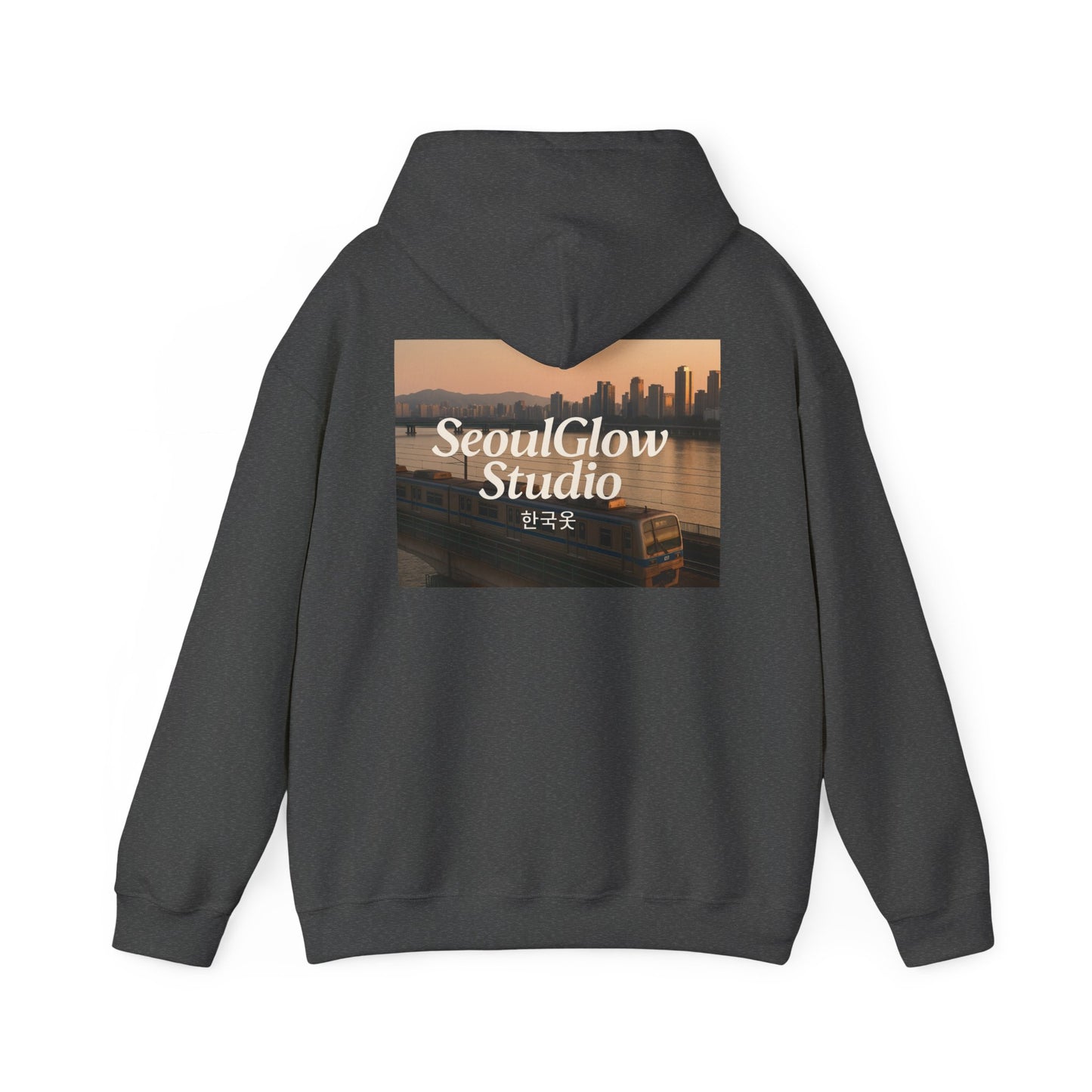 Seoul Metro Han River Korea Unisex Hoodie Sweatshirt - K Fan Design