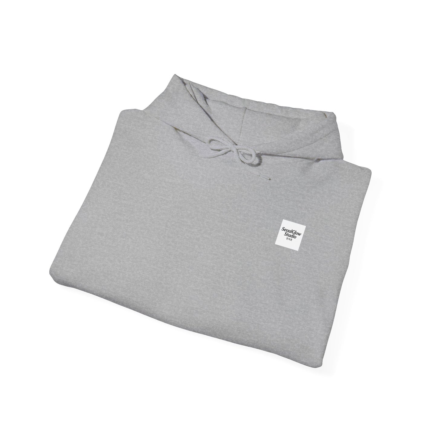 Seoul Metro Han River Korea Unisex Hoodie Sweatshirt - K Fan Design