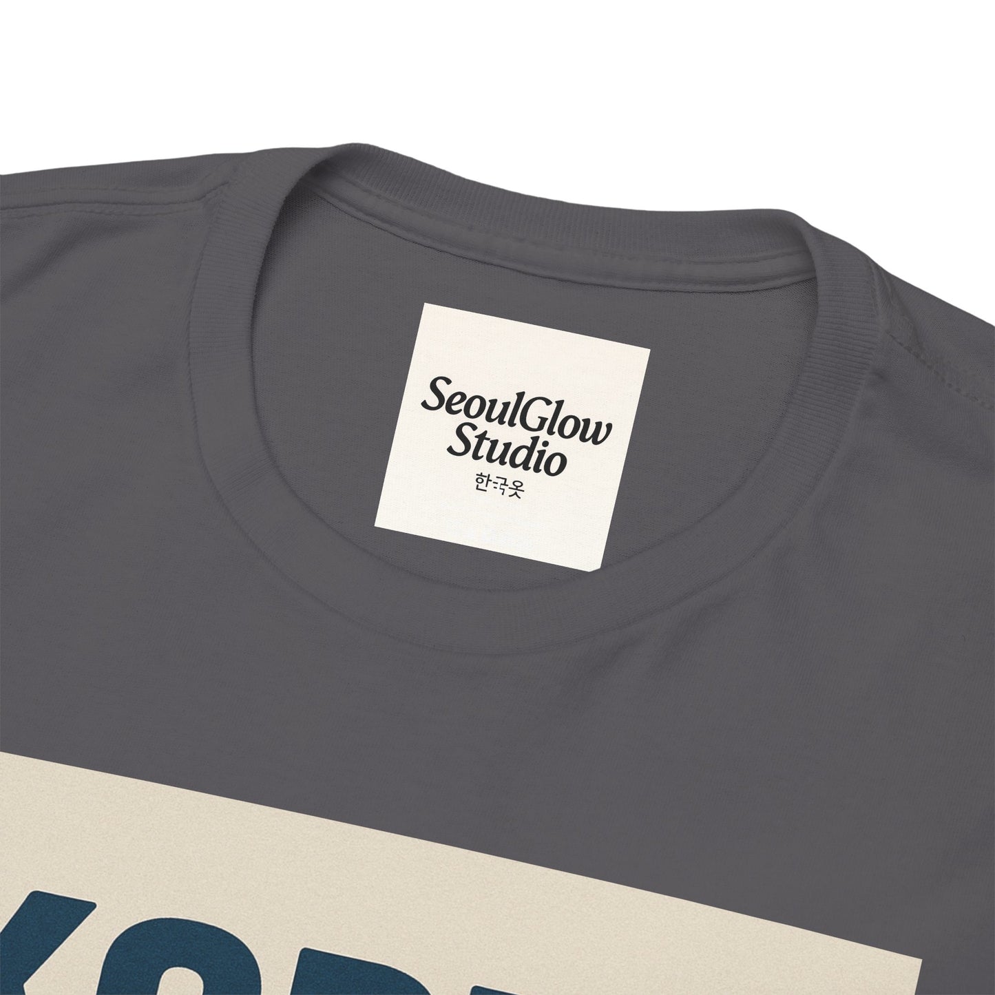 Korea Subway Fan Unisex Heavy Cotton Tee, Graphic Tee, Travel Shirt, Souvenir Shirt, Cool Casual Wear