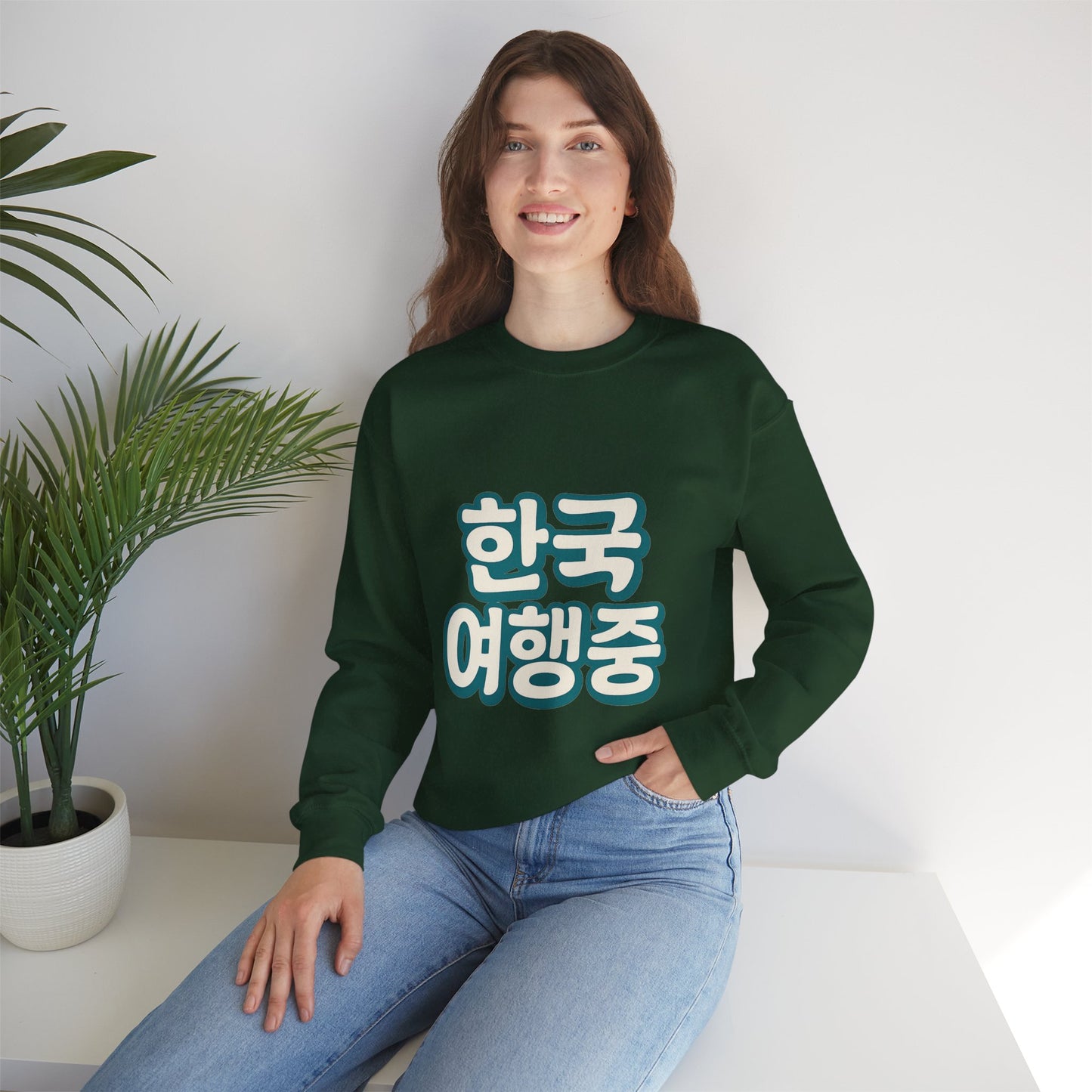 (US) Korea Trip Travel Sweater - Adventure Gift