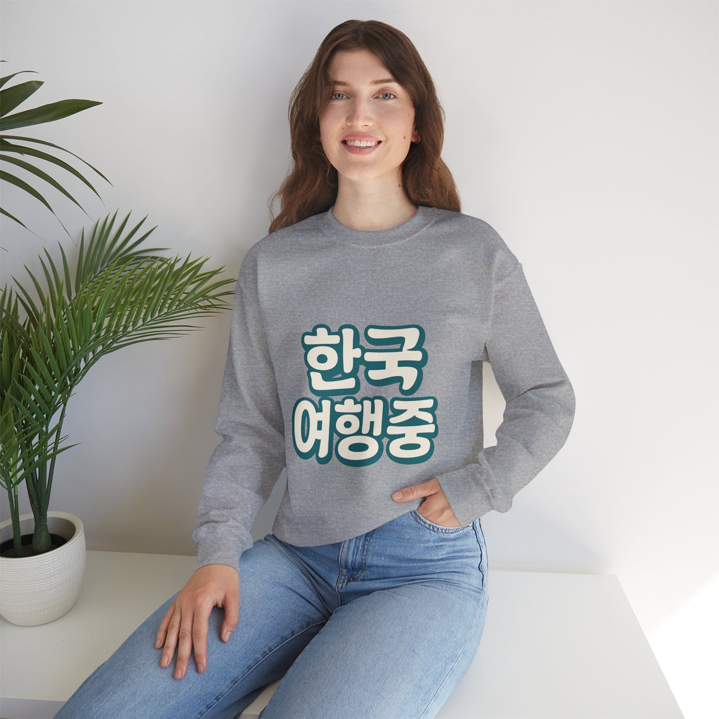 (US) Korea Trip Travel Sweater - Adventure Gift