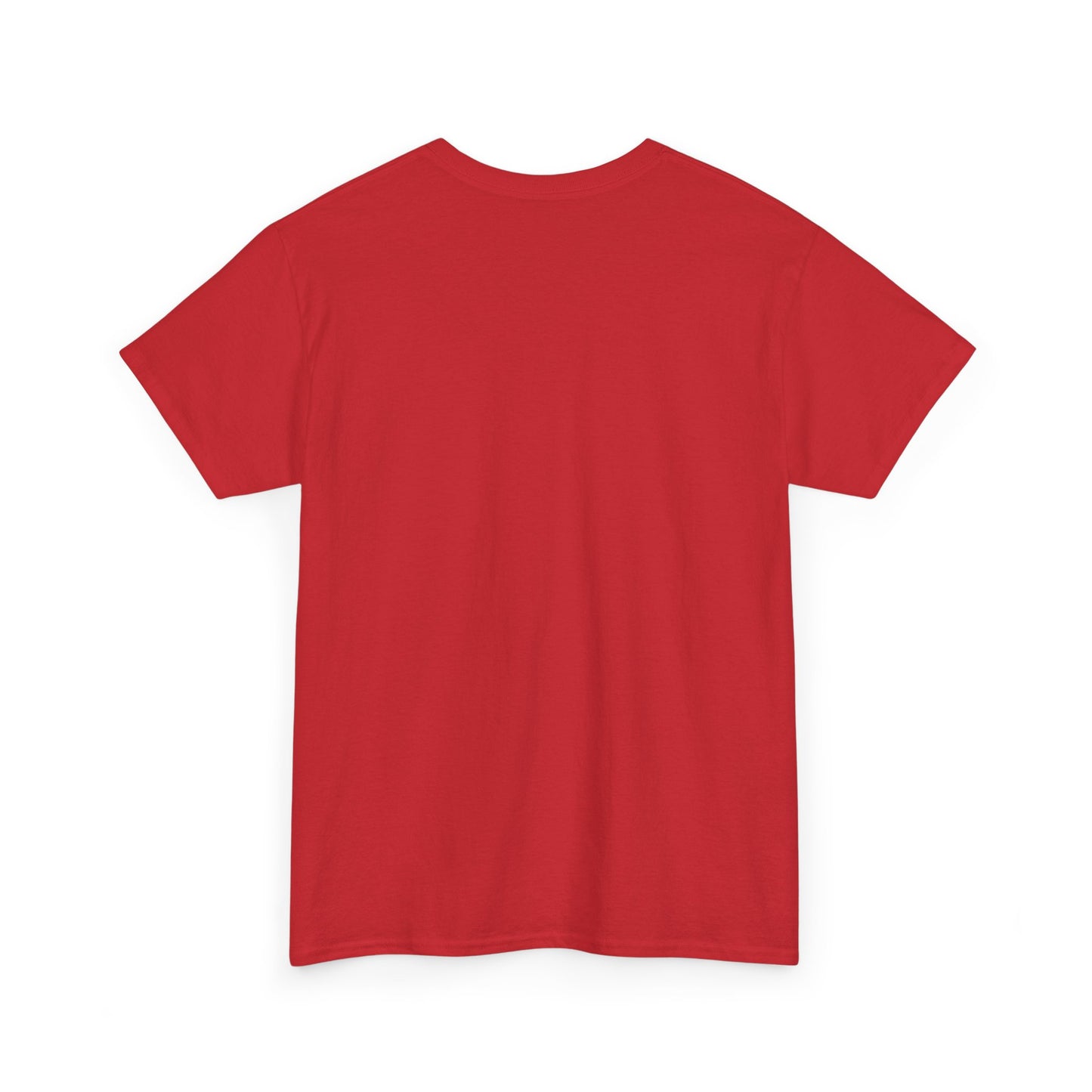 Korea Subway Fan Unisex Heavy Cotton Tee, Graphic Tee, Travel Shirt, Souvenir Shirt, Cool Casual Wear