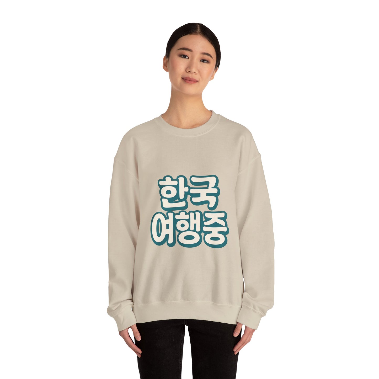 (US) Korea Trip Travel Sweater - Adventure Gift