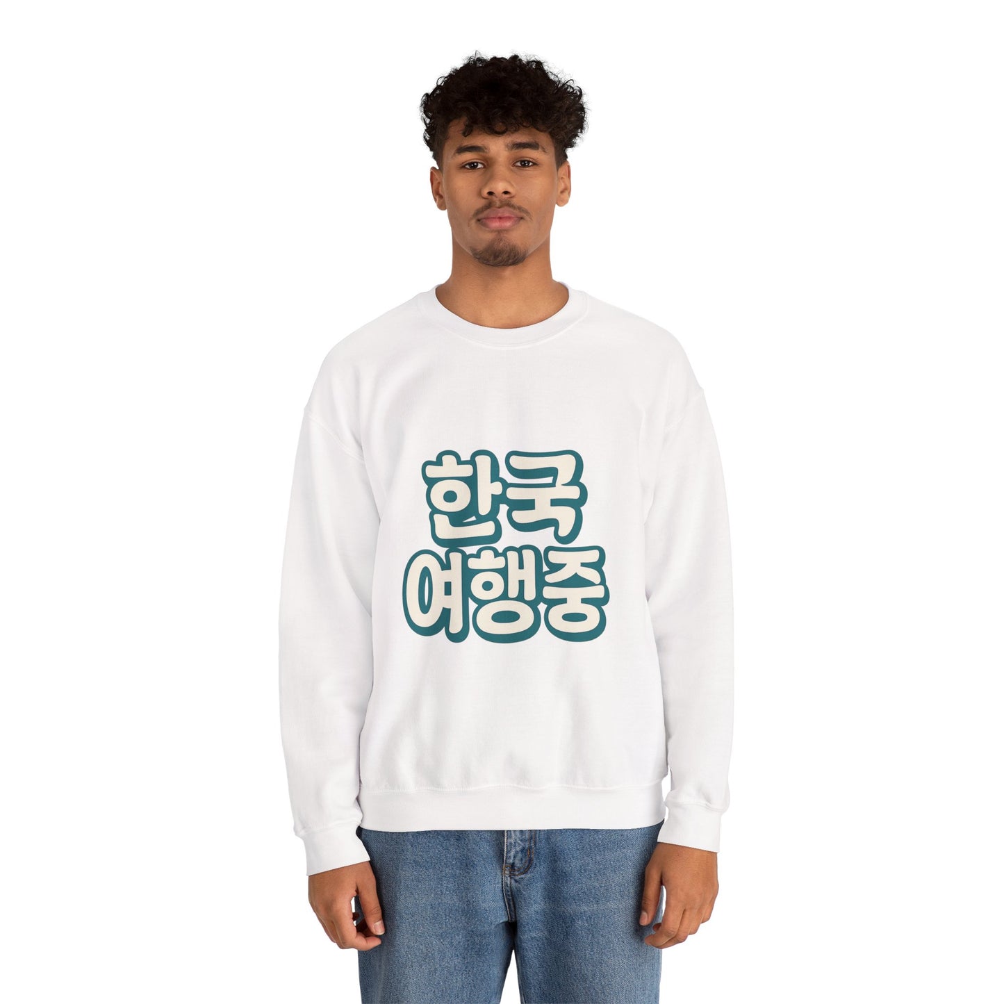 (US) Korea Trip Travel Sweater - Adventure Gift