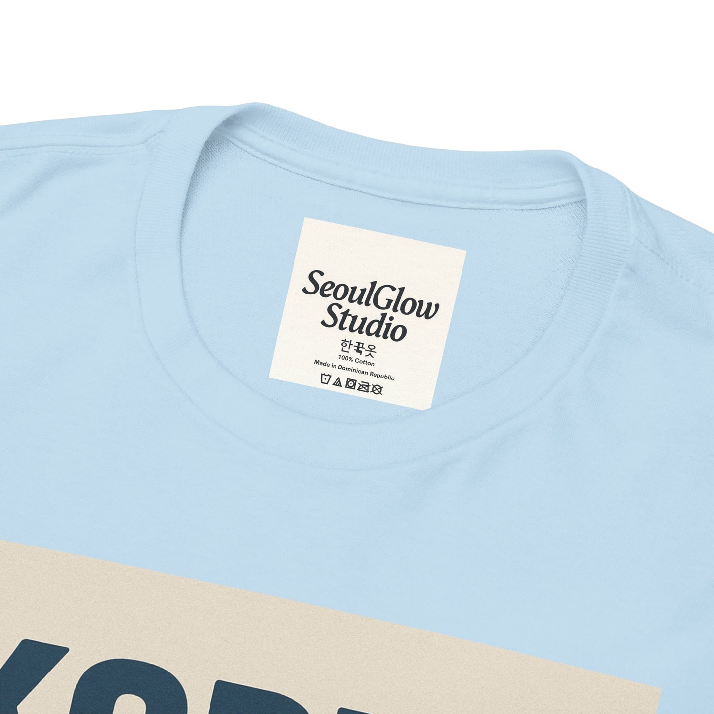 Korea Subway Fan Unisex Heavy Cotton Tee, Graphic Tee, Travel Shirt, Souvenir Shirt, Cool Casual Wear