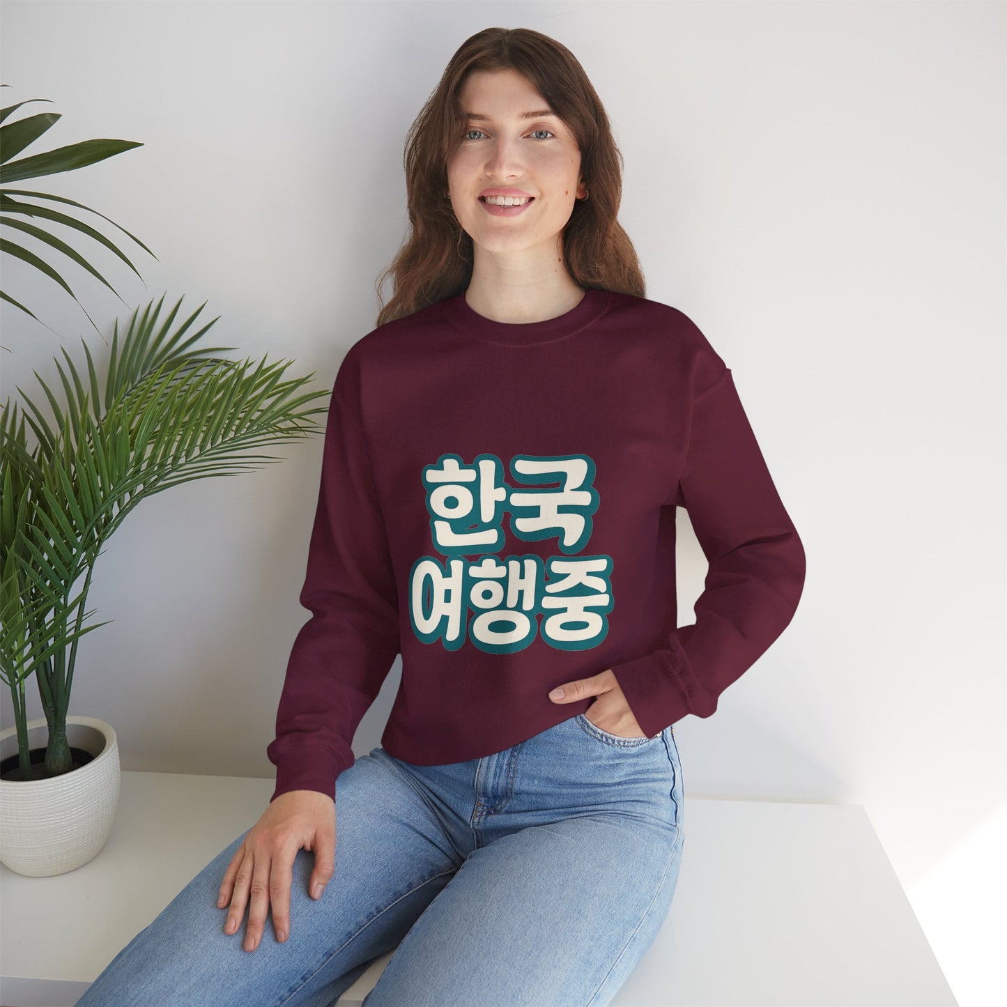 (US) Korea Trip Travel Sweater - Adventure Gift