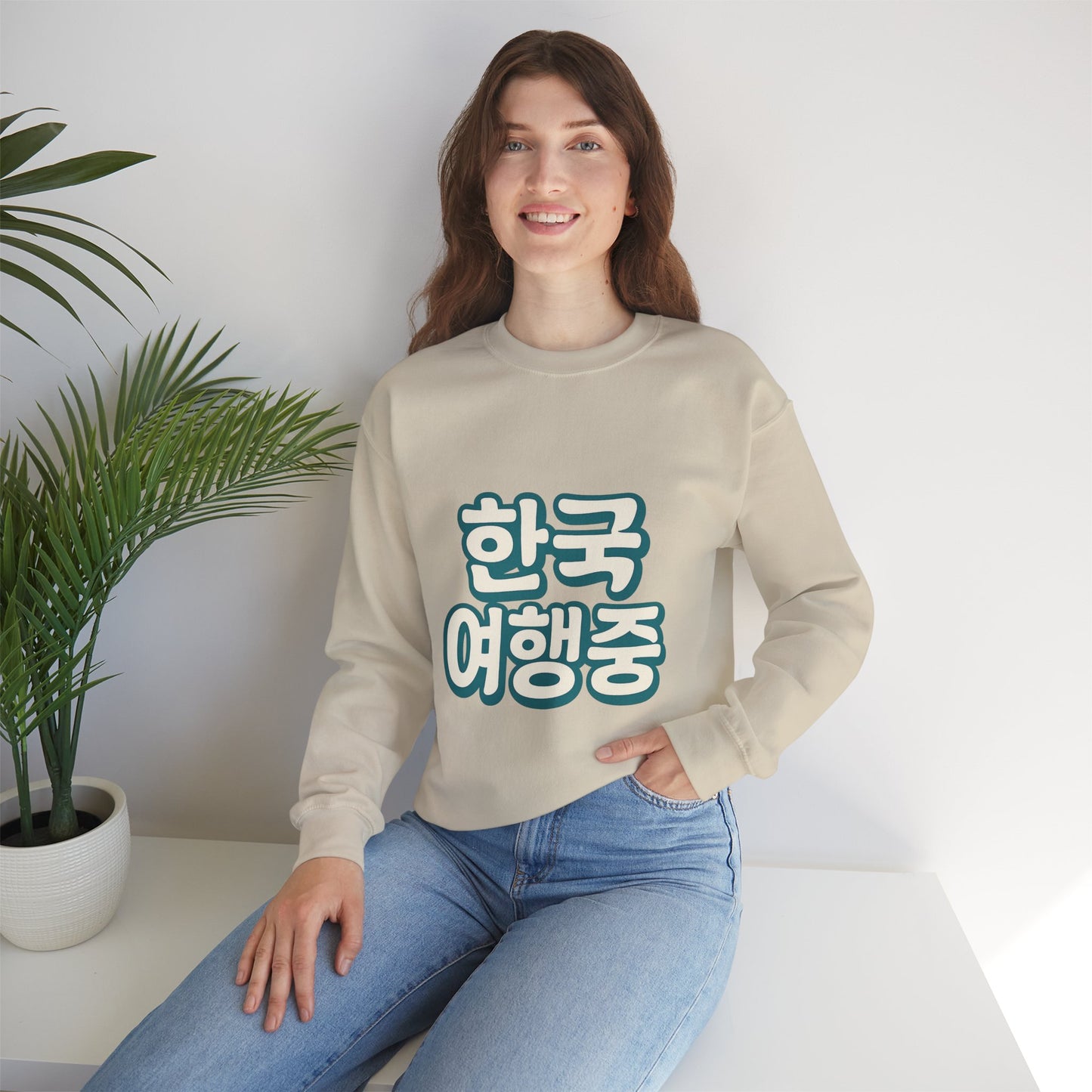 (US) Korea Trip Travel Sweater - Adventure Gift