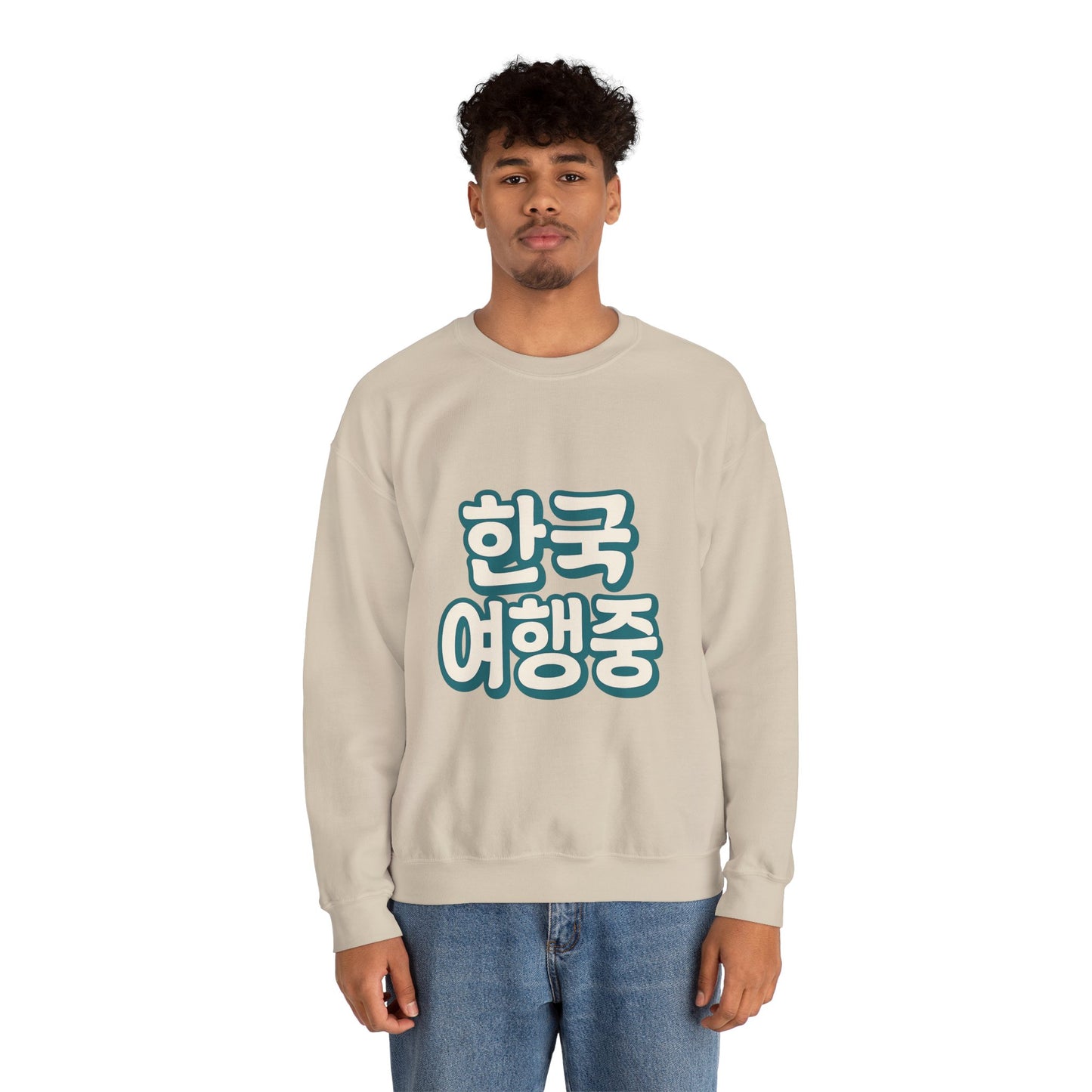 (US) Korea Trip Travel Sweater - Adventure Gift