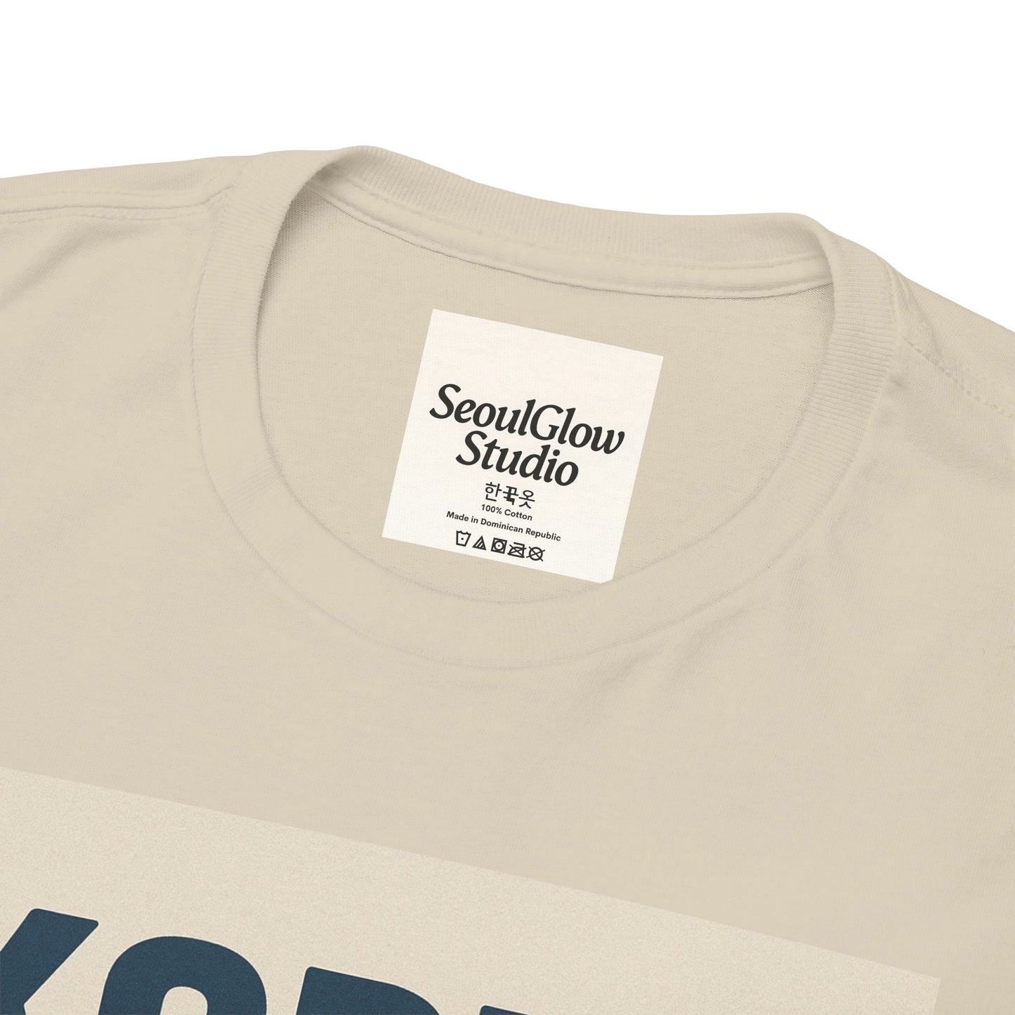 Korea Subway Fan Unisex Heavy Cotton Tee, Graphic Tee, Travel Shirt, Souvenir Shirt, Cool Casual Wear