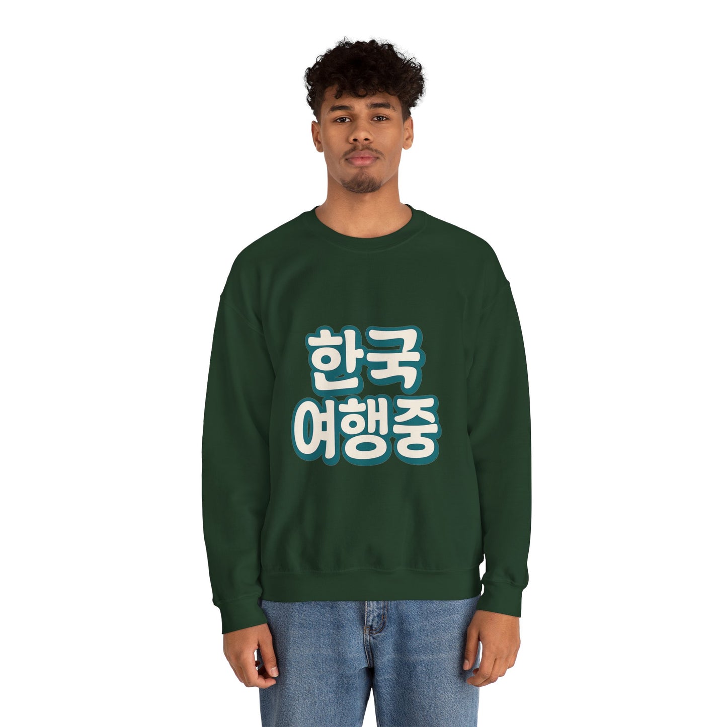 (US) Korea Trip Travel Sweater - Adventure Gift