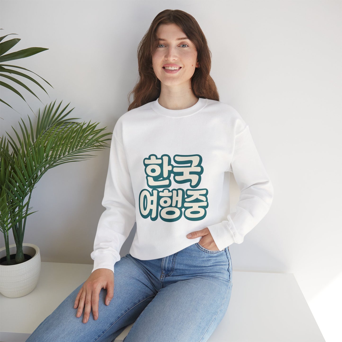 (US) Korea Trip Travel Sweater - Adventure Gift
