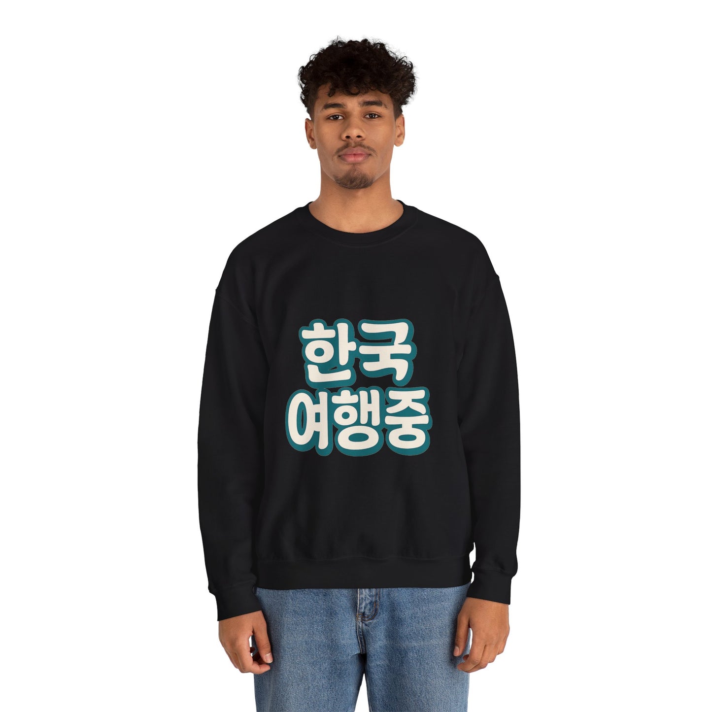 (US) Korea Trip Travel Sweater - Adventure Gift