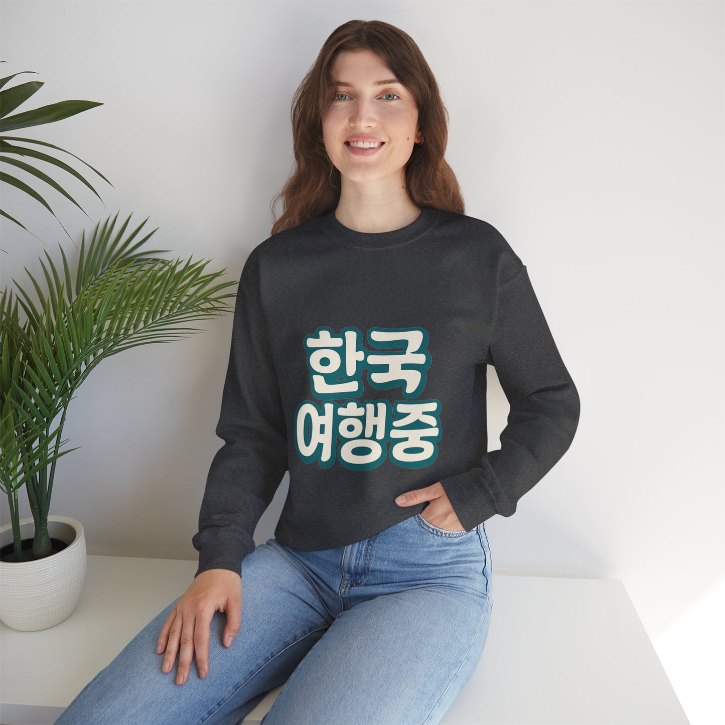 (US) Korea Trip Travel Sweater - Adventure Gift
