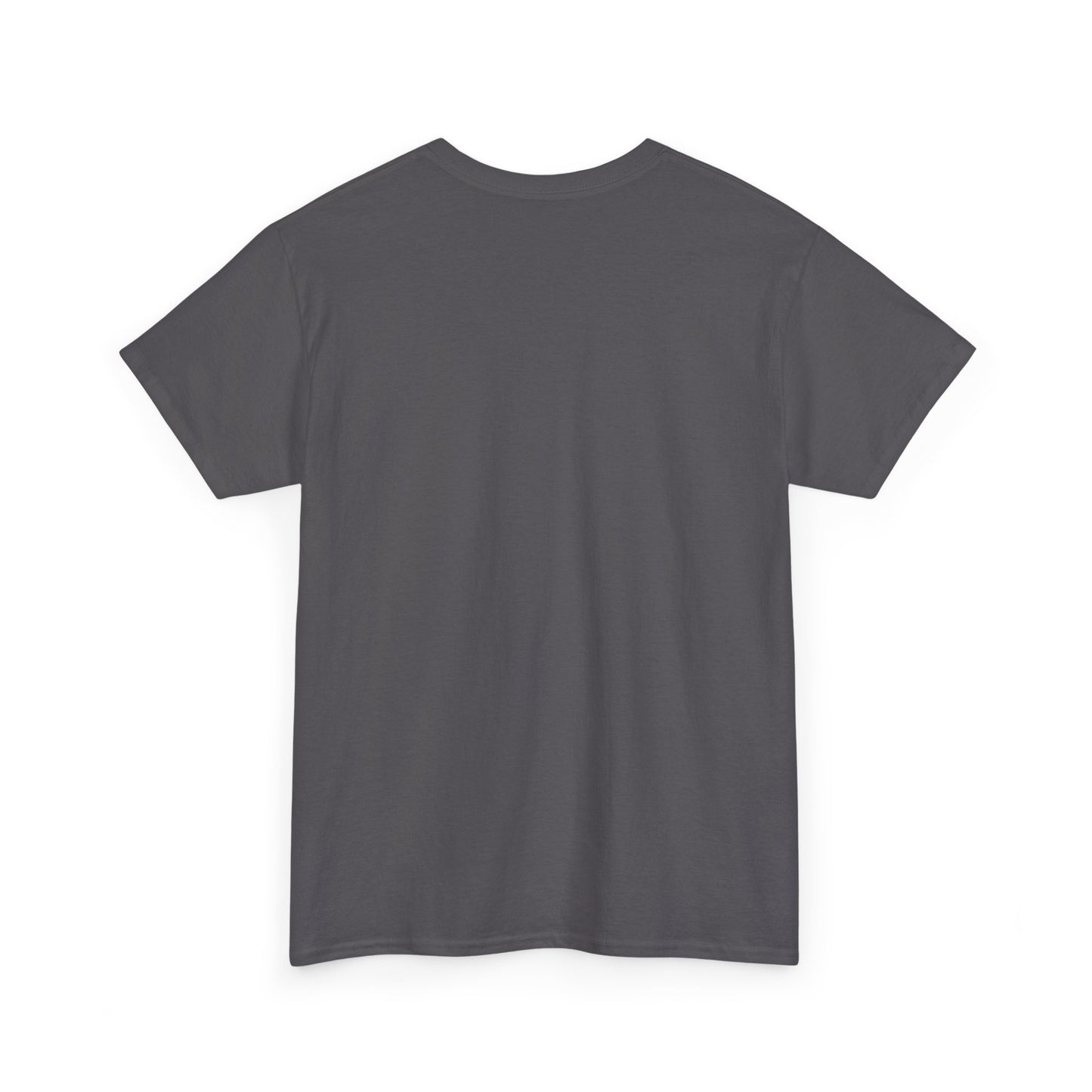 Korea Subway Fan Unisex Heavy Cotton Tee, Graphic Tee, Travel Shirt, Souvenir Shirt, Cool Casual Wear