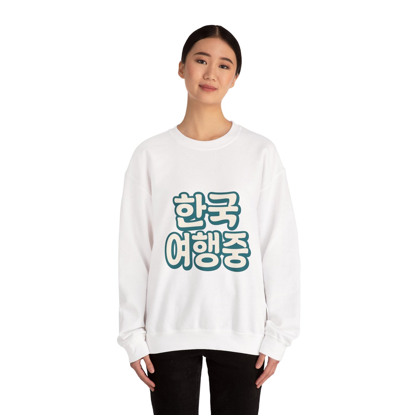 (US) Korea Trip Travel Sweater - Adventure Gift