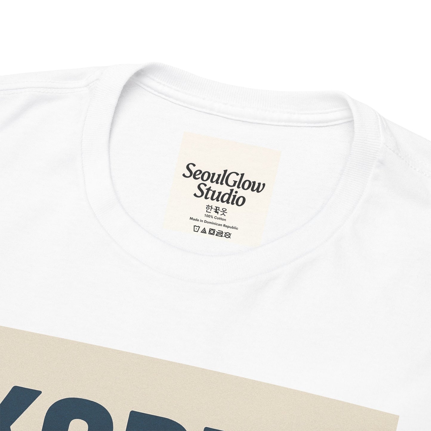 Korea Subway Fan Unisex Heavy Cotton Tee, Graphic Tee, Travel Shirt, Souvenir Shirt, Cool Casual Wear