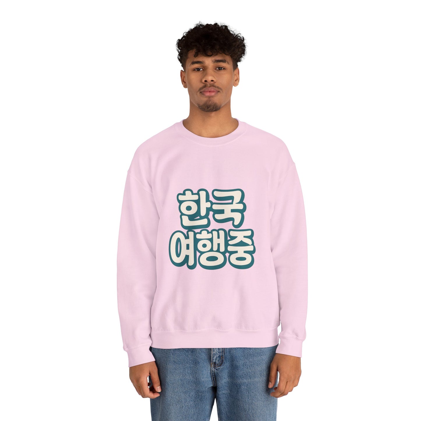 (US) Korea Trip Travel Sweater - Adventure Gift