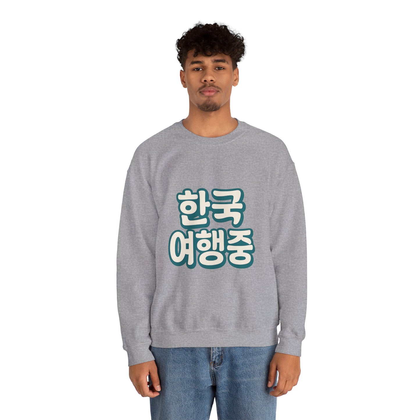 (US) Korea Trip Travel Sweater - Adventure Gift